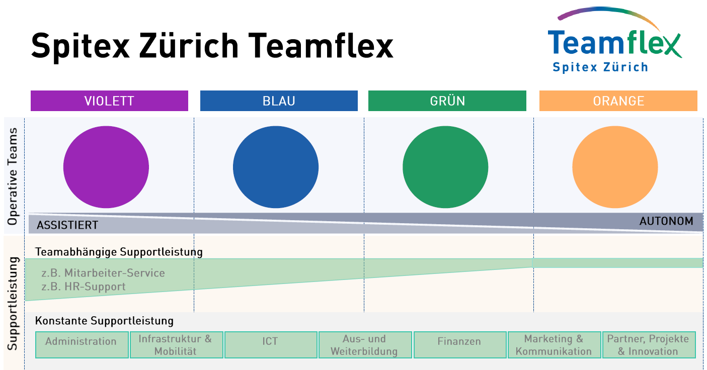 Spitex Zürich Teamflex