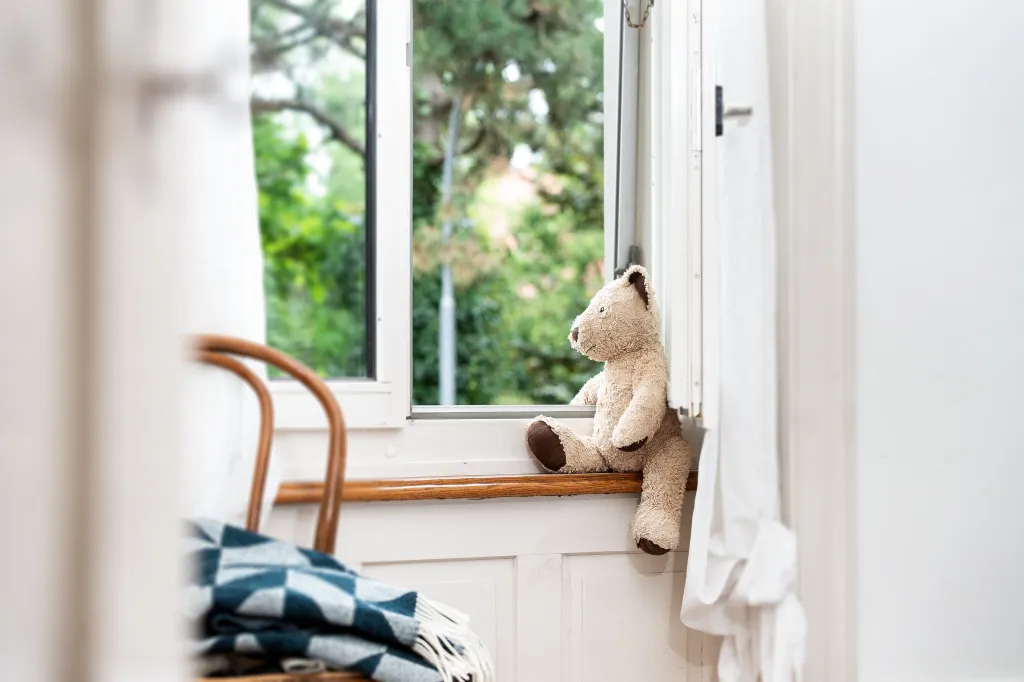 Photo of Bear by the window